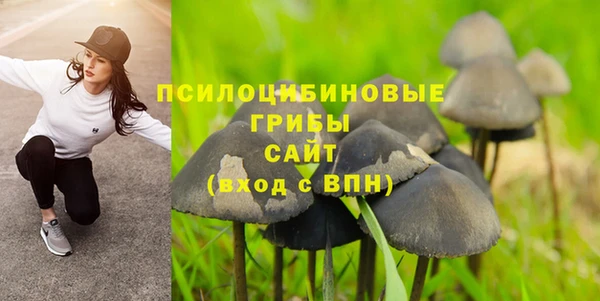 трава Абдулино