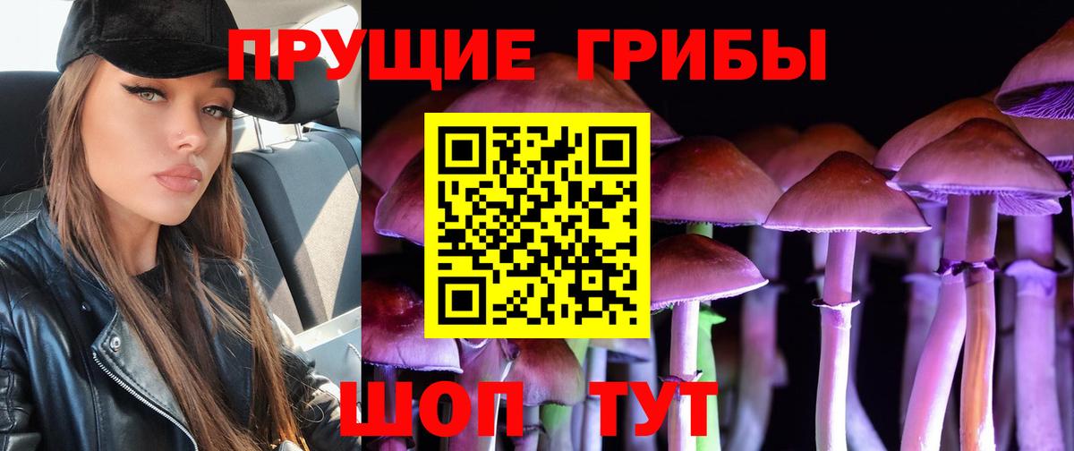 Псилоцибиновые грибы Psilocybe Липецк