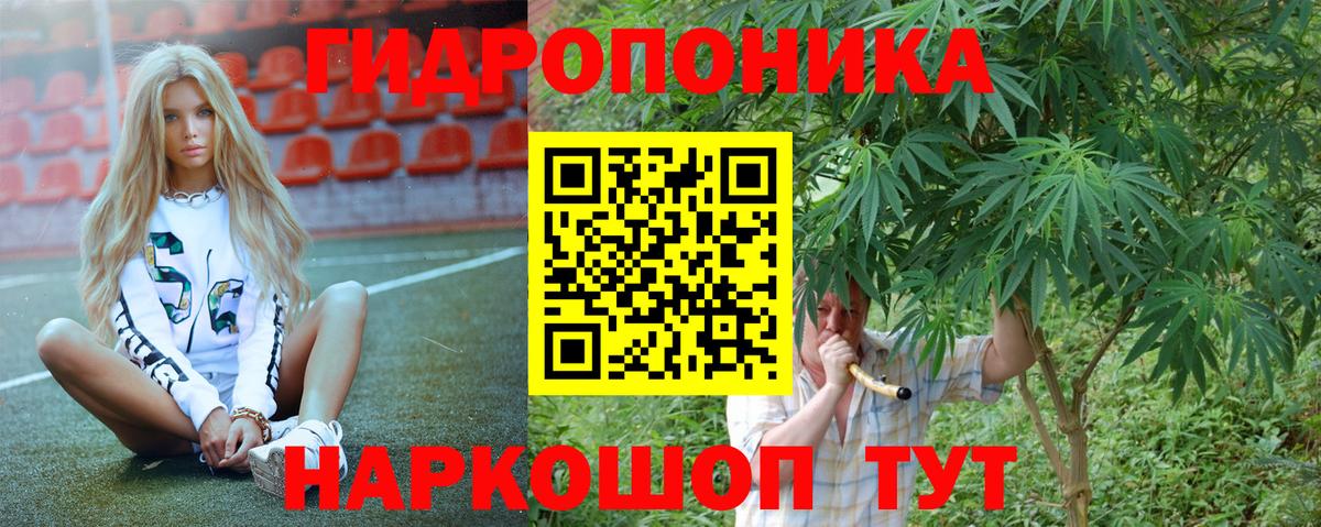 Марихуана SATIVA & INDICA  Шишки марихуана SATIVA & INDICA  Вход с VPN  Липецк 